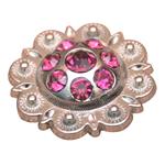 Crystal Rhinestone Bling Berry Conchos Fuchsia Color