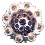BROWN RHINESTONE CRYSTAL BERRY CONCHOS SADDLE TACK COWBOY