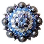 Crystal Rhinestone Bling Berry Conchos Antique Silver Finish