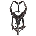 DH300 HILASON BROWN PADDED GENUINE LEATHER DOG HARNESS MATCHING LEASH ALL SIZES
