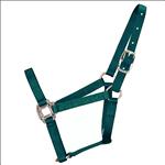 3/4  WEANLING QUALITY NYLON HORSE HALTER HAMILTON PRODUCTS USA DARK GREEN