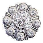 CLEAR RHINESTONE BERRY CONCHOS SADDLE HEADSTALL TACK BLING COWGIRL