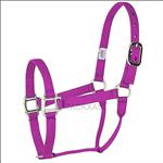 HILASON VINTAGE 1 INCH COLT WEANLING HORSE SIZE FLAT NYLON HORSE HALTER
