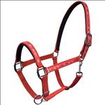 Neoprene lined halter w/ Royal EquusRed (Chili Pepper)