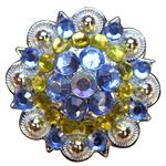 PURPLE LEMON AB CRYSTALS 1-1/4in. BERRY CONCHO RHINESTONE HEADSTALL SADDLE