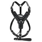 DH100 HILASON BLACK PADDED GENUINE LEATHER DOG HARNESS MATCHING LEASH ALL SIZES