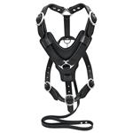 HILASON BLACK PADDED GENUINE LEATHER DOG HARNESS & MATCHING LEASH W/ ALL SIZES