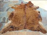 S48 HILASON HAIR ON LEATHER PURE BRAZILIAN COWHIDE SKIN RUG CARPET EXOTIC MEDIUM